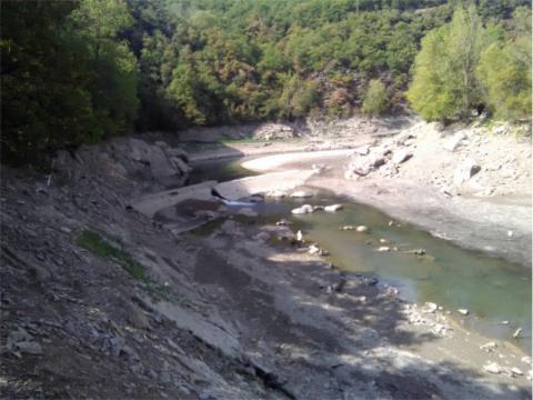 Vide