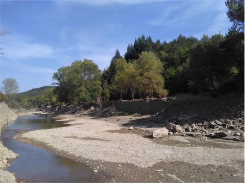 Vide 4